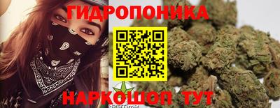 мяу мяу мука Беслан
